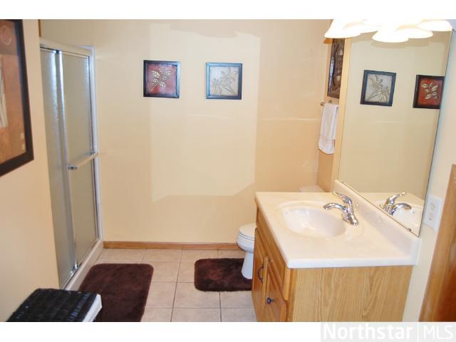 14113 Dearborn Path, Rosemount, MN 55068 photo 12