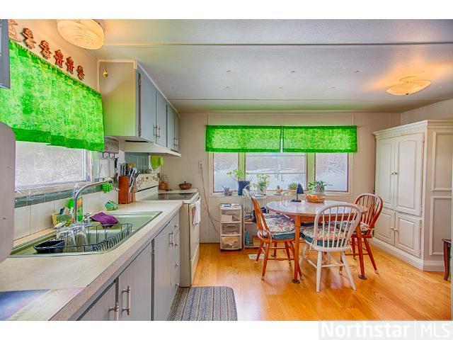 135 E Main, Isle, MN 56342 photo 11