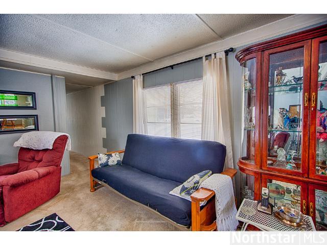 135 E Main, Isle, MN 56342 photo 7