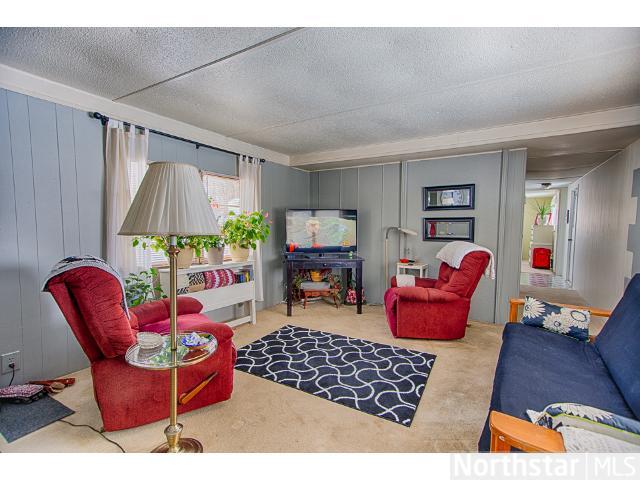 135 E Main, Isle, MN 56342 photo 5