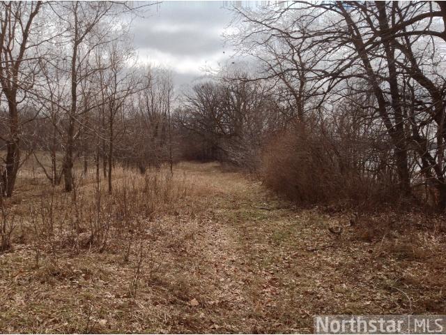 35887 Nighthawk Trl, Cushing, MN 56443 photo 14