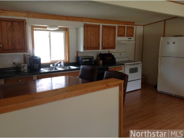 35887 Nighthawk Trl, Cushing, MN 56443 photo 4