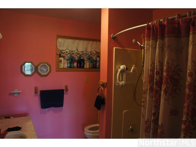 1607 175th Ave, Centuria, WI 54824 photo 18