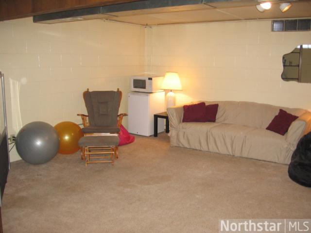 331 Spruce E Dr, Annandale, MN 55302 photo 14