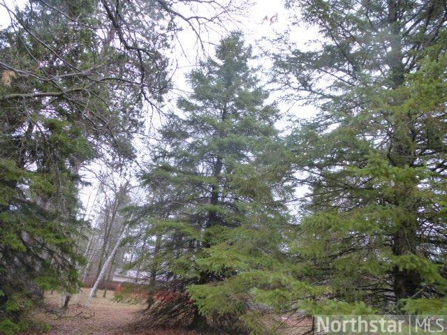 353 York St, Pine River, MN 56474 photo 6