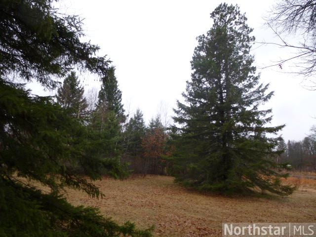 353 York St, Pine River, MN 56474 photo 4