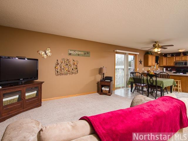 6175 E River Rd, Minneapolis, MN 55432 photo 3