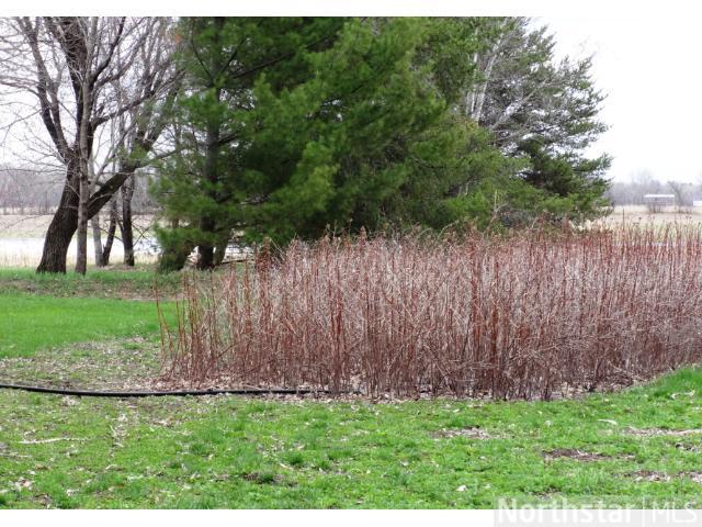 3472 County Road 113, Brainerd, MN 56401 photo 5