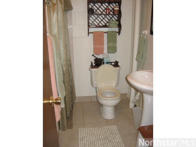 1710 11th E St, Glencoe, MN 55336 photo 14