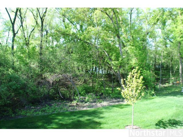 377 Brickyard Dr, Chaska, MN 55318 photo 17