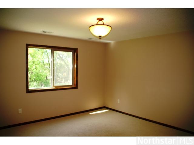 377 Brickyard Dr, Chaska, MN 55318 photo 16