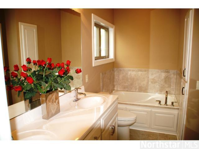 377 Brickyard Dr, Chaska, MN 55318 photo 9