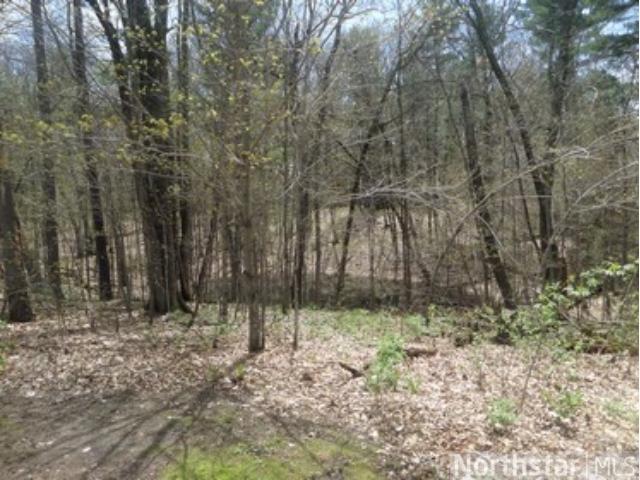 809 Fish Lake Dr, Mora, MN 55051 photo 5