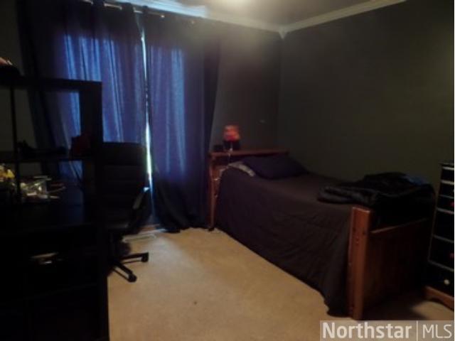 809 Fish Lake Dr, Mora, MN 55051 photo 18