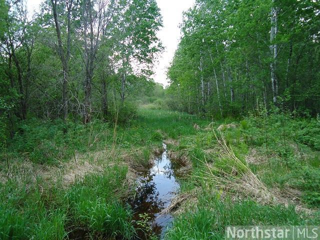 4647 48th St SW, Pine River, MN 56474 photo 7