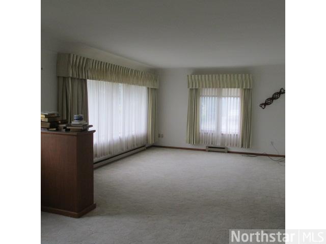 730 E Cedar Ave, Hector, MN 55342 photo 8