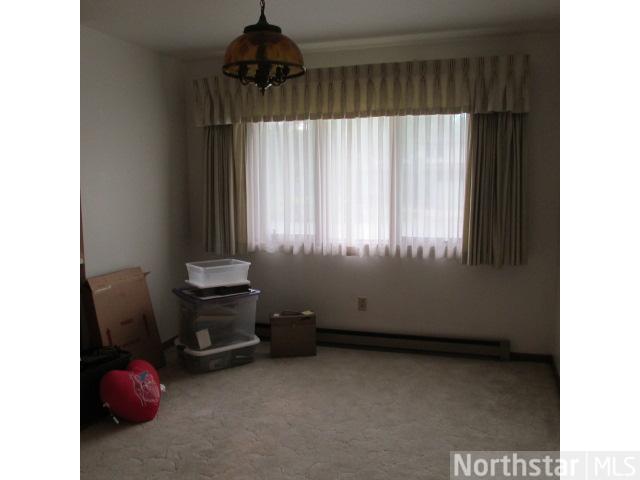 730 E Cedar Ave, Hector, MN 55342 photo 7
