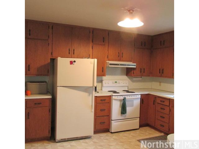 730 E Cedar Ave, Hector, MN 55342 photo 2