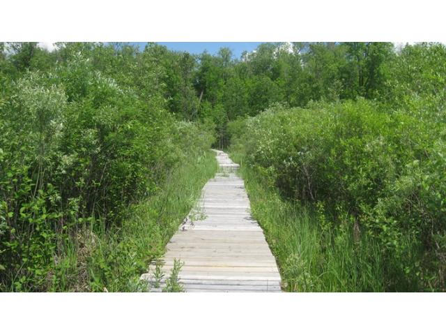 54936 221st Pl, Mcgregor, MN 55760 photo 17