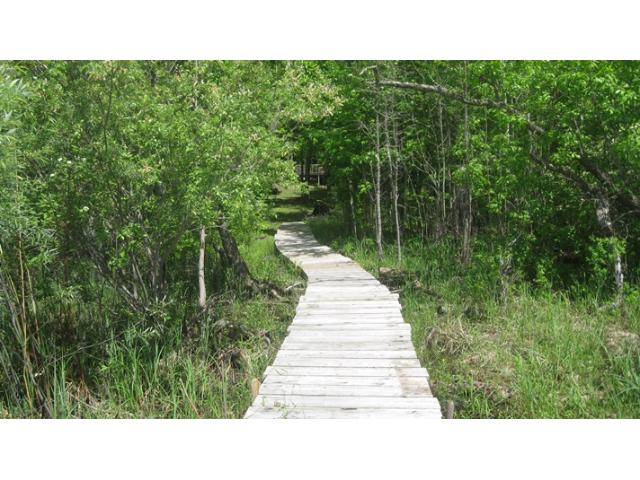 54936 221st Pl, Mcgregor, MN 55760 photo 16
