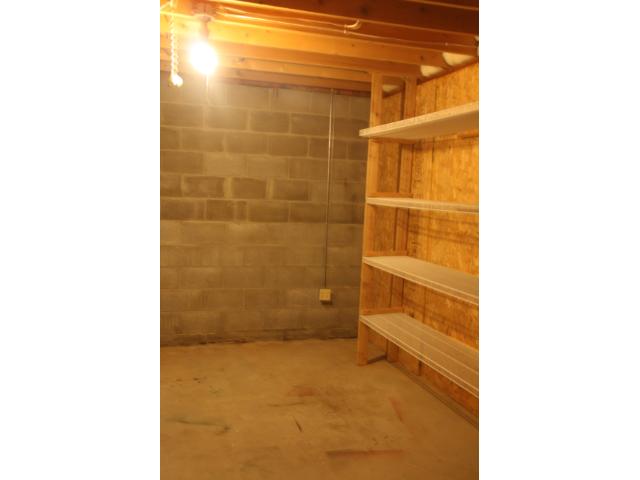 9637 Lakeside Trl, Champlin, MN 55316 photo 12