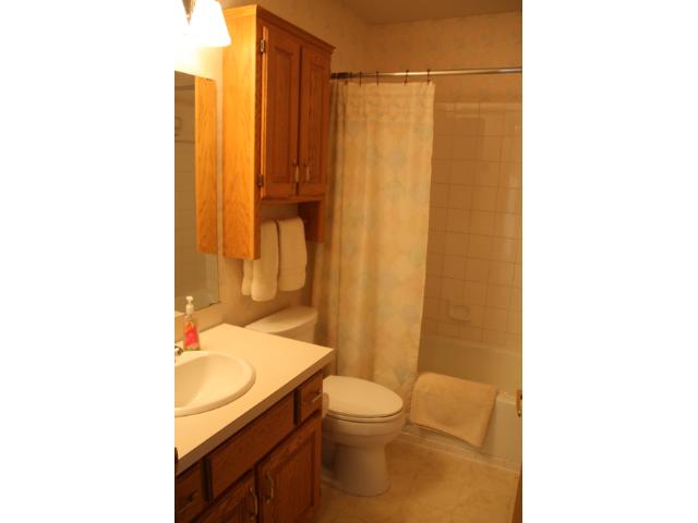 9637 Lakeside Trl, Champlin, MN 55316 photo 9