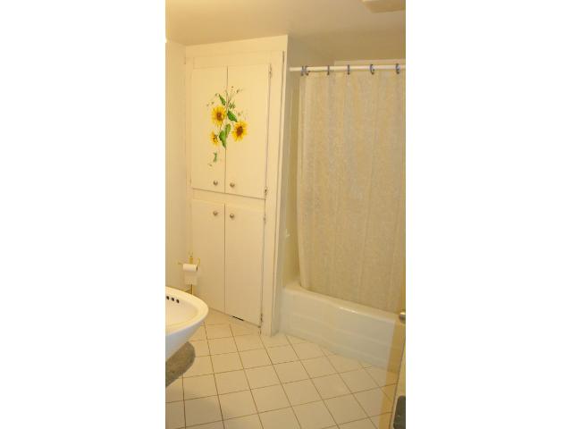 173 George St, Excelsior, MN 55331 photo 8
