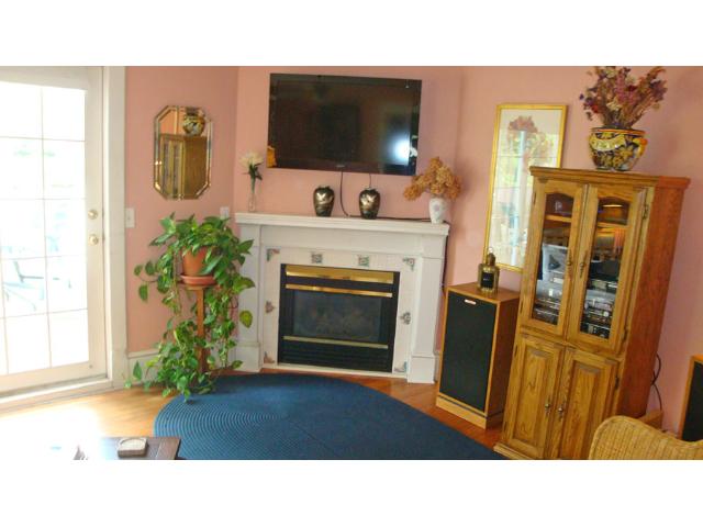 173 George St, Excelsior, MN 55331 photo 4