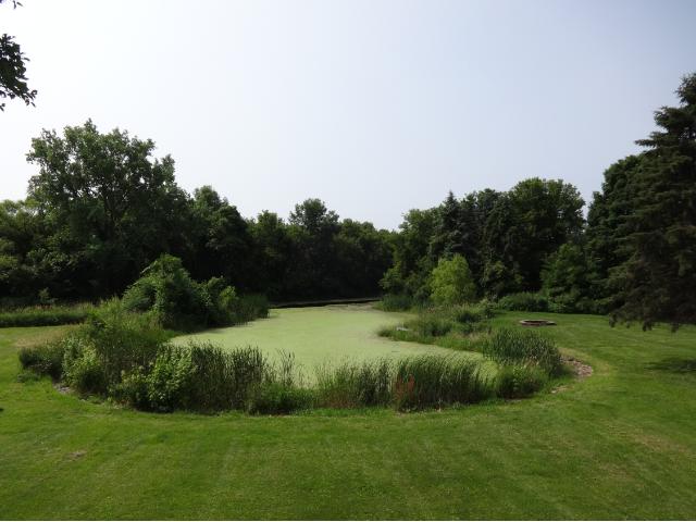 6275 Hunter Rd, Hamel, MN 55340 photo 3