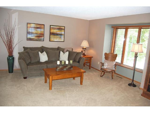 14116 Dearborn Path, Rosemount, MN 55068 photo 2