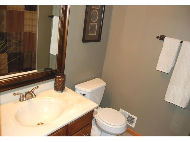 14116 Dearborn Path, Rosemount, MN 55068 photo 17