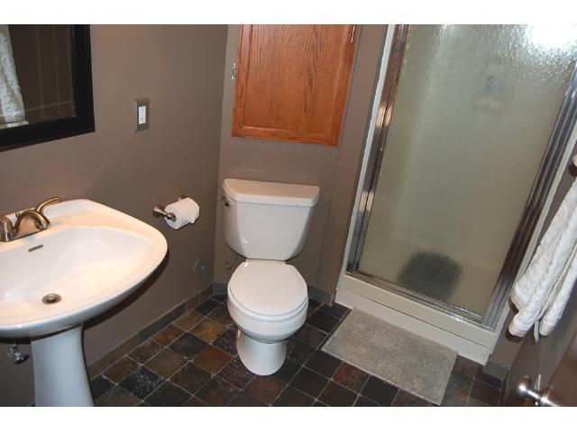 14116 Dearborn Path, Rosemount, MN 55068 photo 14