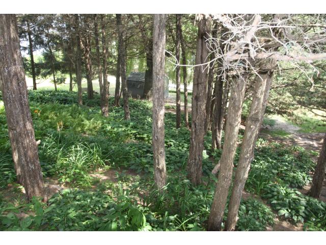 51183 231st Ave, Elysian, MN 56028 photo 18