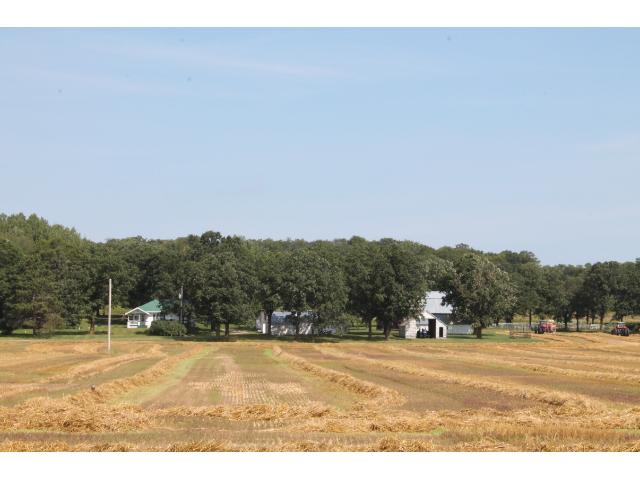 7474 330th St, Cushing, MN 56443 photo 7