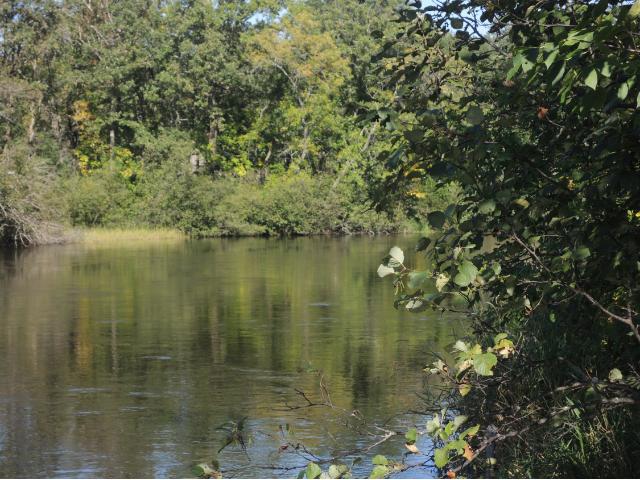 4512 Old Farm Ln, Pine River, MN 56474 photo 15