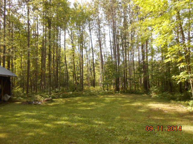 27690 Pine Tree Dr, Pine City, MN 55063 photo 3
