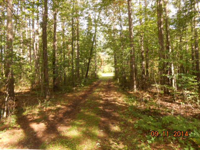 27690 Pine Tree Dr, Pine City, MN 55063 photo 12