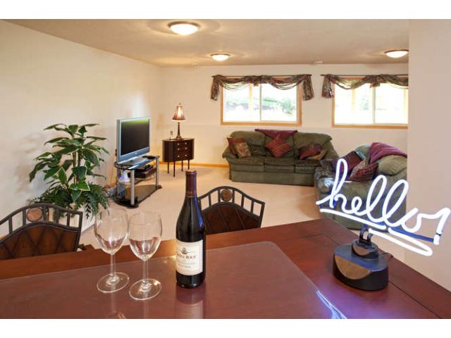 2025 Schoolmaster Dr, Chaska, MN 55318 photo 14