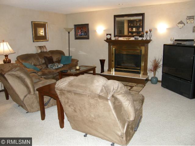 208 Crest Ct, Mayer, MN 55360 photo 7