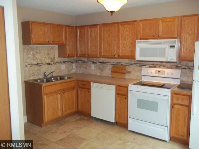 388 Wilderness Dr, Chaska, MN 55318 photo 2