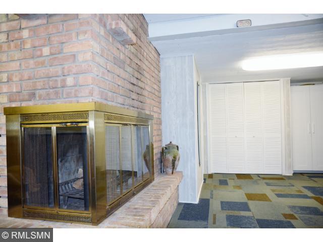 518 Wheeler Dr, Excelsior, MN 55331 photo 11