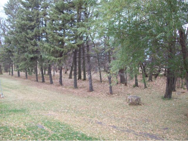 2266 State Hwy 7 Ave, Lester Prairie, MN 55354 photo 9