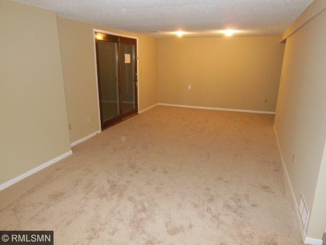1391 Broadview Ave, Chaska, MN 55318 photo 14