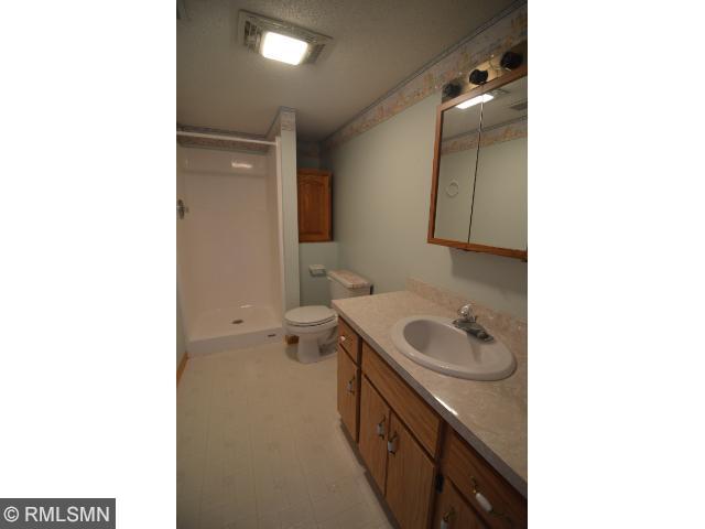 31338 104th St, Princeton, MN 55371 photo 16