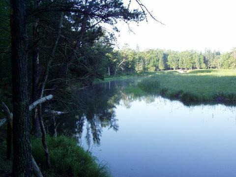 lot1 Blk 1 Falling Leaf Trl, Park Rapids, MN 56470