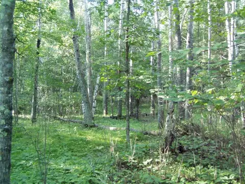 lot9 Blk 1 Falling Leaf Trl, Park Rapids, MN 56470