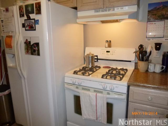 39 Spring St, Kenyon, MN 55946 photo 16