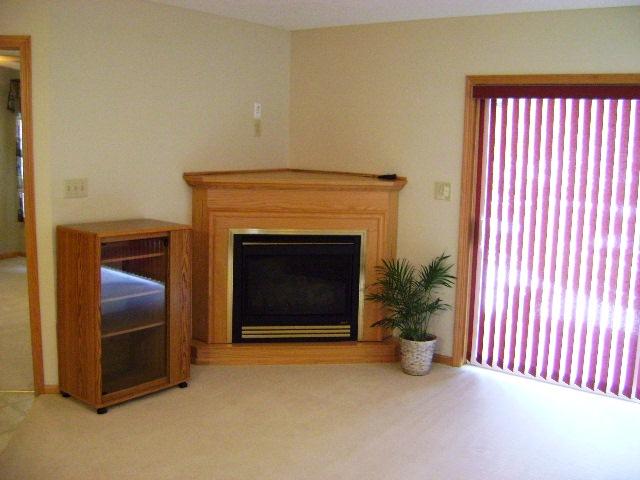 100 Firebarn Rd, Circle Pines, MN 55014 photo 7