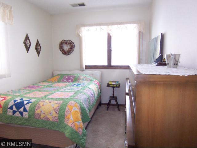 17965 670th Ave, Darwin, MN 55324 photo 5
