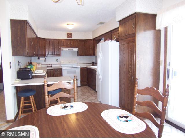 17965 670th Ave, Darwin, MN 55324 photo 3
